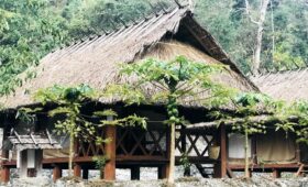 Royal Manas National Park