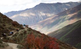 Visit to Gasa