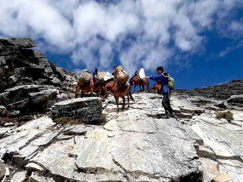 Dagala Thousand Lakes Trek