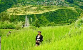 Village in Trashigang