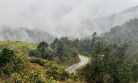 Winding road through the misty forest of Phrumsengla National Park in Bhutan, a protected area rich in biodiversity