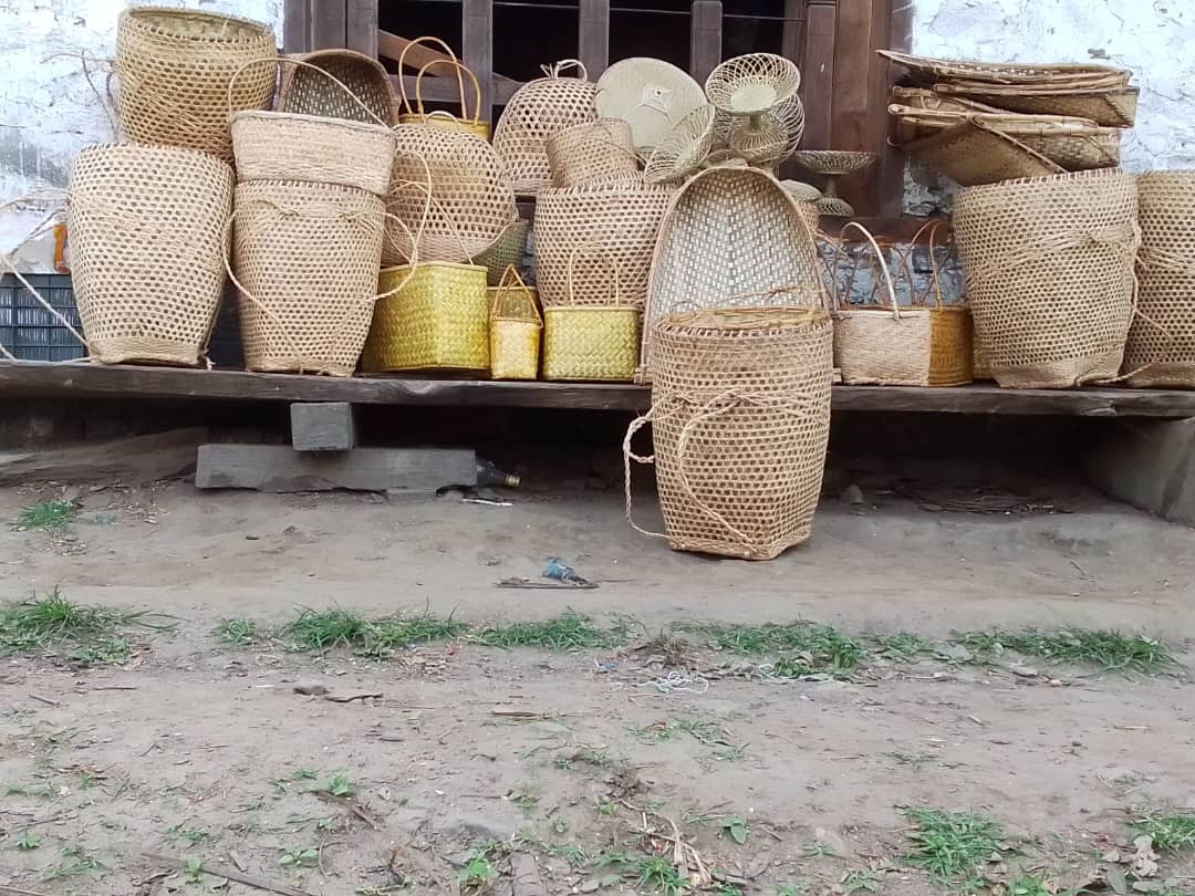 Bamboos