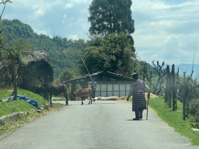 Farmers at work