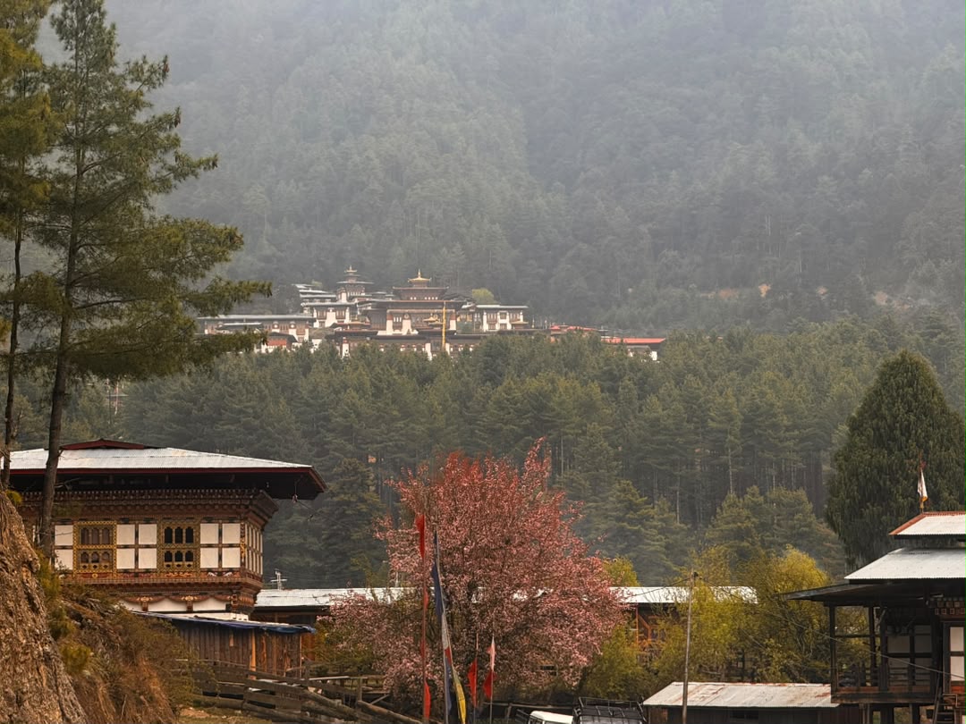 view of rinchenling shreda