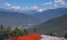 bhutan cultural tour