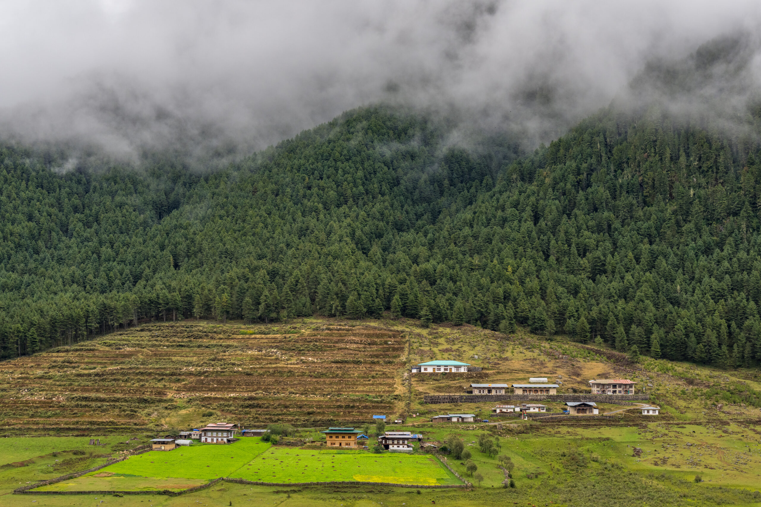 bhutan cultural tour
