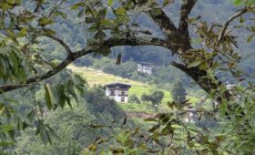 Traditional Bhutanese houses and terraced fields along the Trans Bhutan Trail