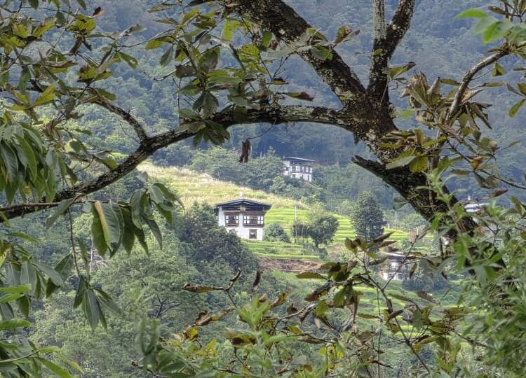 Traditional Bhutanese houses and terraced fields along the Trans Bhutan Trail